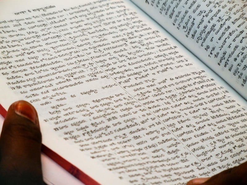 Language Translation Aids